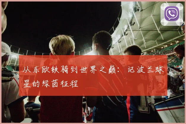 从东欧铁骑到世界之巅：记波兰球星的绿茵征程