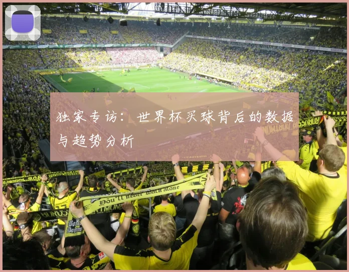 独家专访：世界杯买球背后的数据与趋势分析
